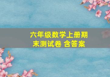 六年级数学上册期末测试卷 含答案